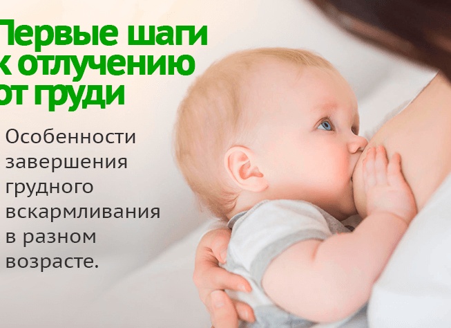 Как отучить ребенка от грудного вскармливания